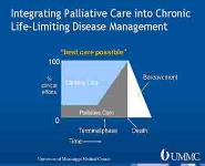 What Is Palliative Care PowerPoint Presentation