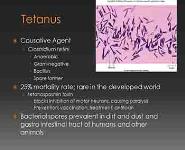 Wound Infections PowerPoint Presentation