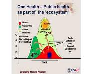 Emerging Infectious Diseases PowerPoint Presentation