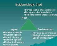 Principles of Communicable Diseases Epidemiology PowerPoint Presentation