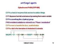 Antifungal Agents PowerPoint Presentation