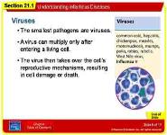 Understanding Infectious Diseases PowerPoint Presentation