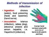 Infection And Infectious Process