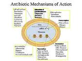 Antimicrobial Agents