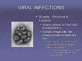 Immune Response To Infectious Disease