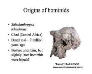 The Human Genome And Human Evolution PowerPoint Presentation