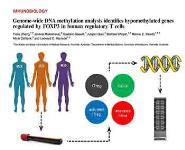 Measuring Methylation-From Arrays To Sequencing PowerPoint Presentation Notes