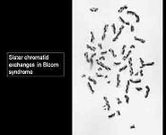 Basic Medical Genetics Concepts PowerPoint Presentation