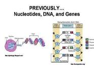 Genes Mutations and Diseases-Understanding The Origins of Genetic Disorders PowerPoint Presentation
