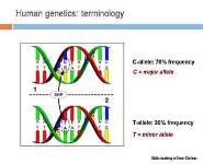 A Brief History of Imaging Genetics PowerPoint Presentation