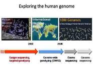 An Introduction To Human Genomics PowerPoint Presentation