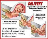 Birth PowerPoint Presentation