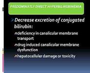 Clinical Approach To Neonatal Jaundice PowerPoint Presentation