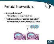 Management of The Patient With Congenital Diaphragmatic Hernia PowerPoint Presentation