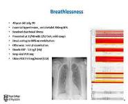 Acute Medical Presentations In Pregnancy PowerPoint Presentation