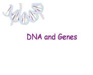 DNA and Genes PowerPoint Presentation