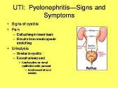 Urinary System Disorders