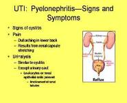 Urinary System Disorders PowerPoint Presentation