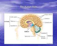 Models of Abnormal Behavior PowerPoint Presentation