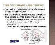 Memory And Its Parts-Thinking And Language PowerPoint Presentation