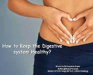 How to Keep the Digestive system Healthy PowerPoint Presentation