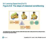 Physical Development In Infancy And Toddlerhood PowerPoint Presentation