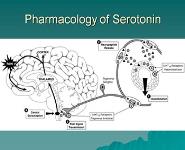 Headaches-Migraines Tensions And Clusters PowerPoint Presentation