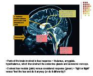 Anxiety Disorders PowerPoint Presentation Notes