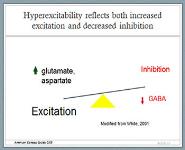 Overview of Seizures And Epilepsy PowerPoint Presentation