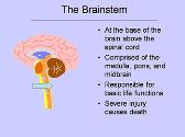 Introduction To Traumatic Brain Injury-TBI For Educators