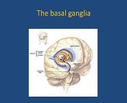 Parkinsons Disease-The Basics PowerPoint Presentation