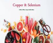 Copper and Selenium PowerPoint Presentation