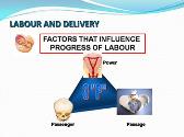 Normal Labour And Delivery