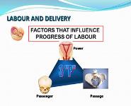 Normal Labour And Delivery PowerPoint Presentation