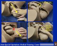 Normal Labor And Delivery PowerPoint Presentation