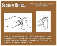 Neonatal Evaluation And Care PowerPoint Presentation