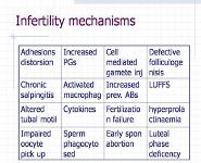 About Endometriosis PowerPoint Presentation