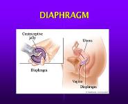 Birth Control and Family Planning PowerPoint Presentation