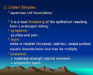 Diseases of The Vulva PowerPoint Presentation