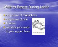 Introduction To Labor Vaginal And Cesarean Delivery PowerPoint Presentation Notes