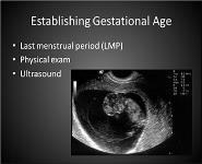 Overview of Prenatal Care PowerPoint Presentation