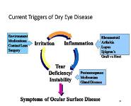 Dry Eye PowerPoint Presentation Notes