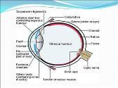 Uveitis