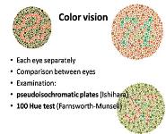 Neuro-Ophthalmology PowerPoint Presentation