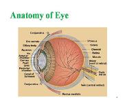 Ocular Pharmacology-I PowerPoint Presentation Notes