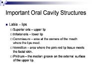 Anatomy of The Teeth PowerPoint Presentation Notes