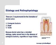 Caries PowerPoint Presentation Notes