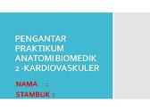 Kardiovaskuler