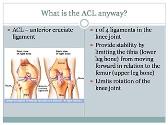 Prevention And Rehabilitation For Acl Injuries