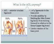 Prevention And Rehabilitation For Acl Injuries PowerPoint Presentation